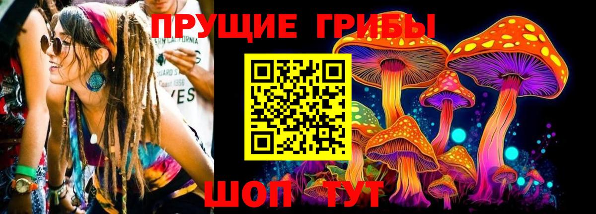 Красногорск  Псилоцибиновые грибы мухоморы  Вход с VPN 