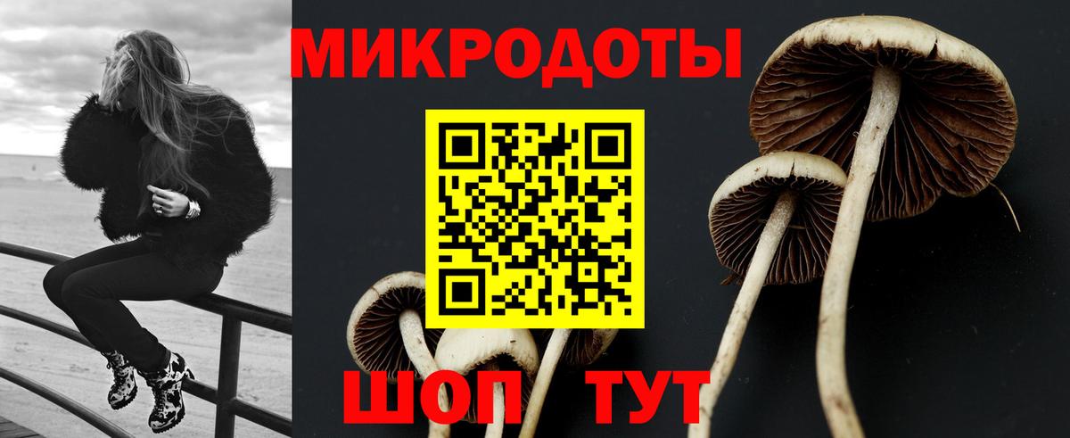 Галлюциногенные грибы MAGIC MUSHROOMS Красногорск