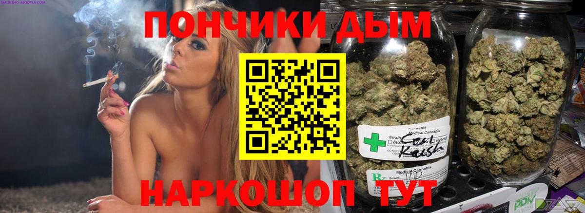 Каннабис сатива Красногорск