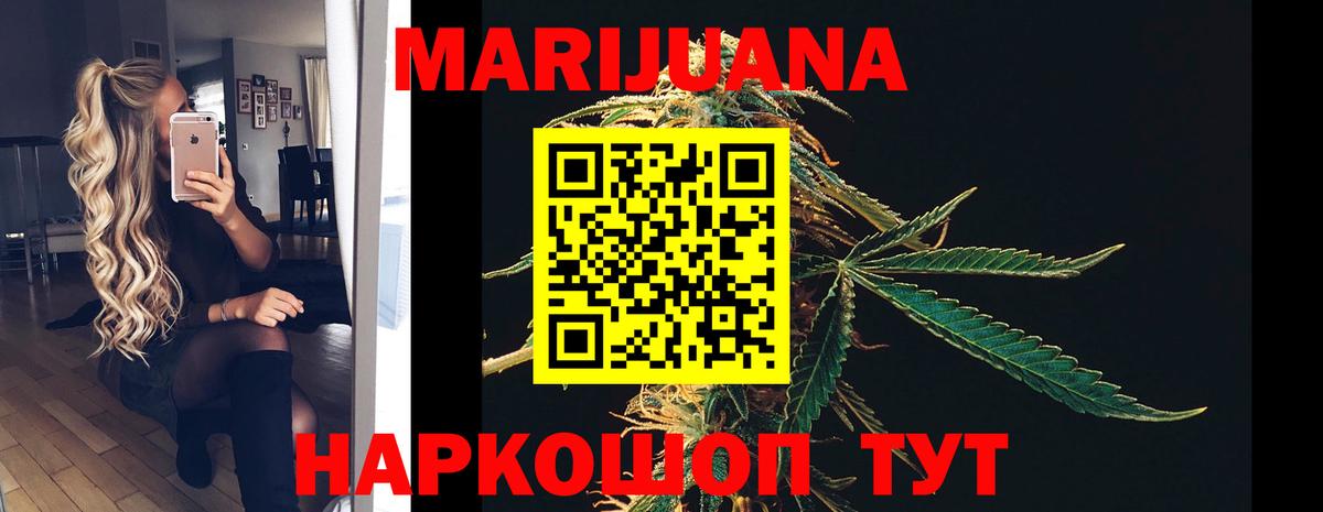 Красногорск  Шишки марихуана планчик  Каннабис OG Kush  Шишки марихуана планчик  Вход с VPN  Шишки марихуана White Widow 